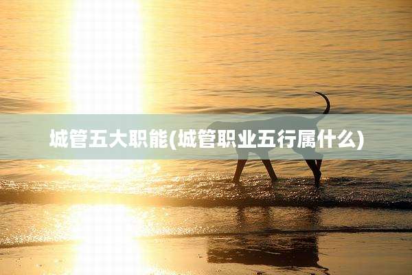 城管五大职能(城管职业五行属什么)