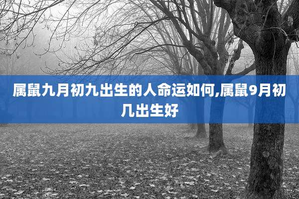 属鼠九月初九出生的人命运如何,属鼠9月初几出生好