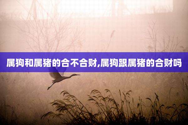 属狗和属猪的合不合财,属狗跟属猪的合财吗