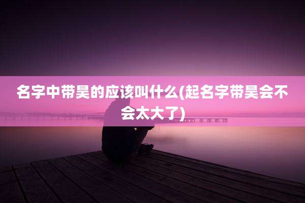 名字中带昊的应该叫什么(起名字带昊会不会太大了)