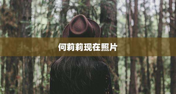 何莉莉现在照片