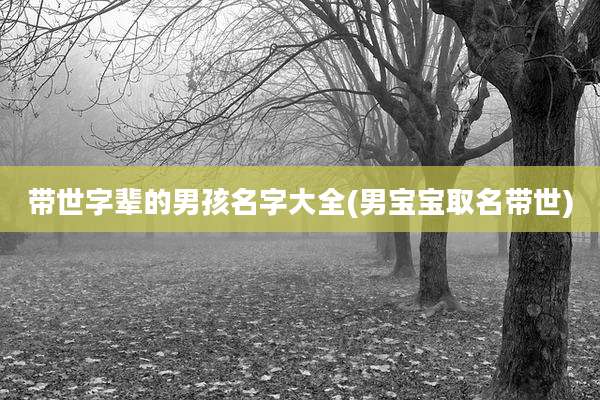 带世字辈的男孩名字大全(男宝宝取名带世)
