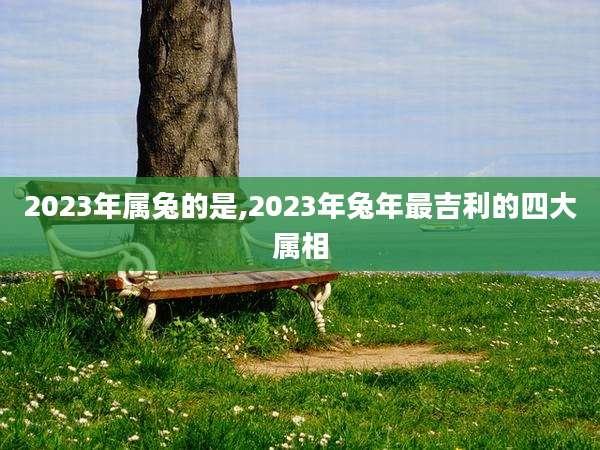 2023年属兔的是,2023年兔年最吉利的四大属相