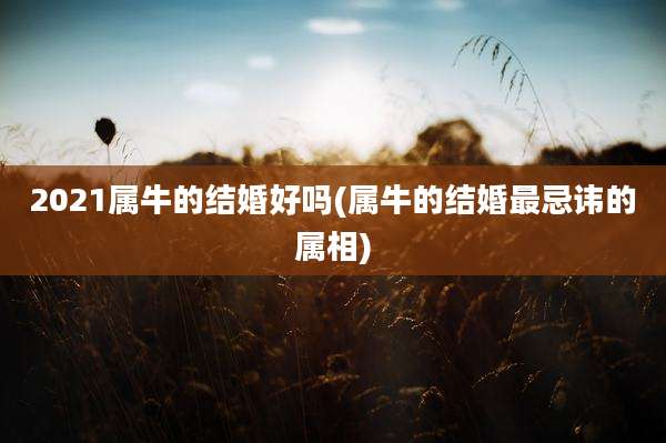 2021属牛的结婚好吗(属牛的结婚最忌讳的属相)
