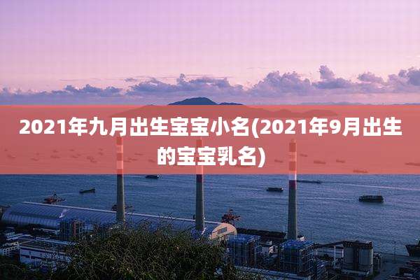 2021年九月出生宝宝小名(2021年9月出生的宝宝乳名)