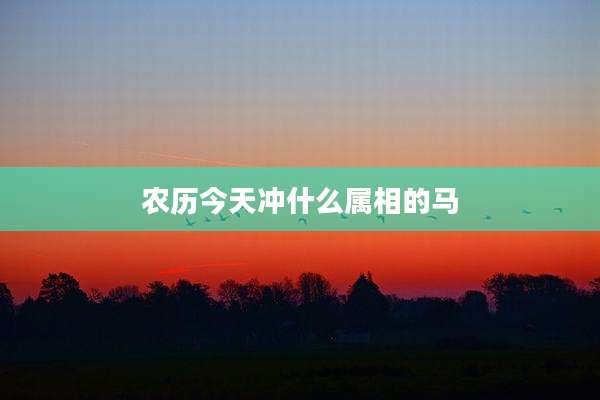 农历今天冲什么属相的马