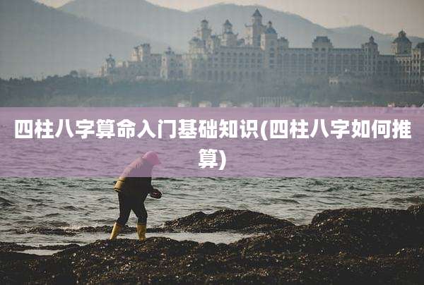 四柱八字算命入门基础知识(四柱八字如何推算)
