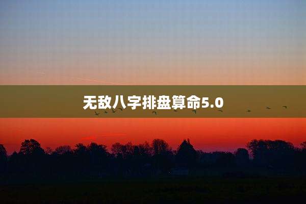 无敌八字排盘算命5.0