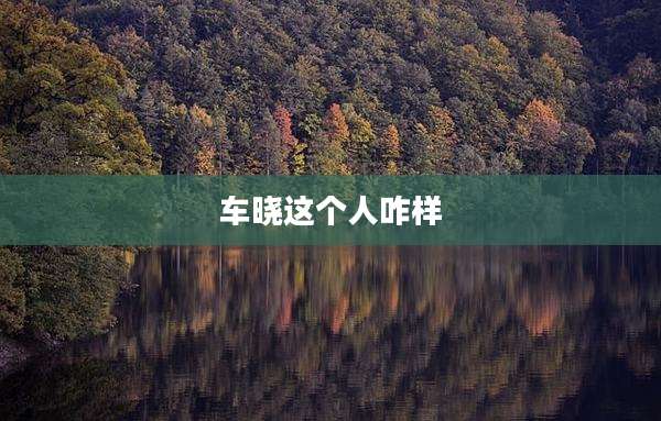 车晓这个人咋样