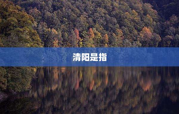 清阳是指