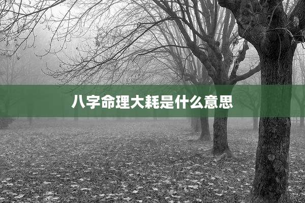八字命理大耗是什么意思