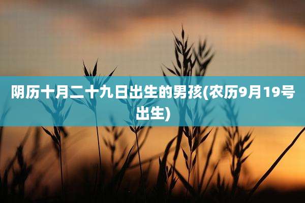 阴历十月二十九日出生的男孩(农历9月19号出生)