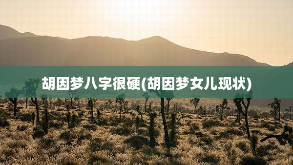 胡因梦八字很硬(胡因梦女儿现状)