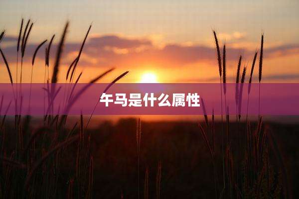 午马是什么属性
