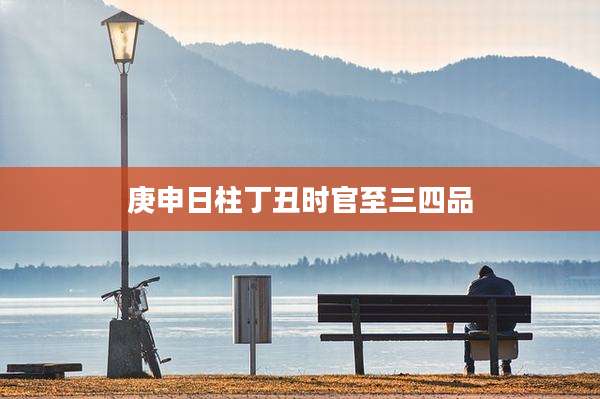 庚申日柱丁丑时官至三四品