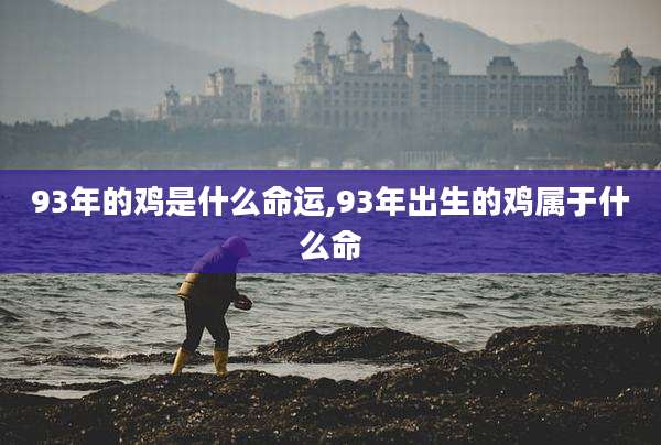 93年的鸡是什么命运,93年出生的鸡属于什么命