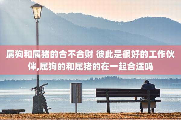属狗和属猪的合不合财 彼此是很好的工作伙伴,属狗的和属猪的在一起合适吗