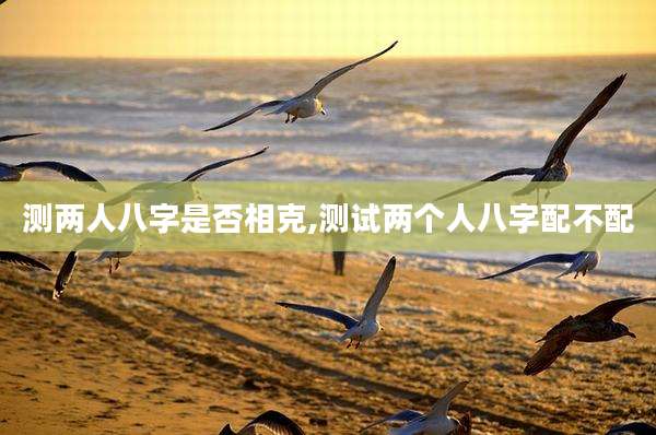 测两人八字是否相克,测试两个人八字配不配