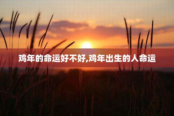 鸡年的命运好不好,鸡年出生的人命运