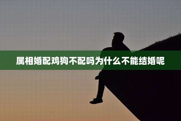 属相婚配鸡狗不配吗为什么不能结婚呢