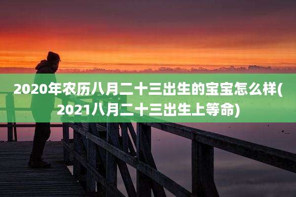 2020年农历八月二十三出生的宝宝怎么样(2021八月二十三出生上等命)