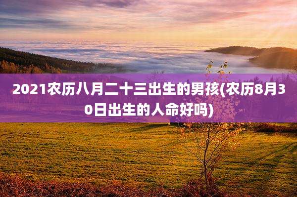 2021农历八月二十三出生的男孩(农历8月30日出生的人命好吗)