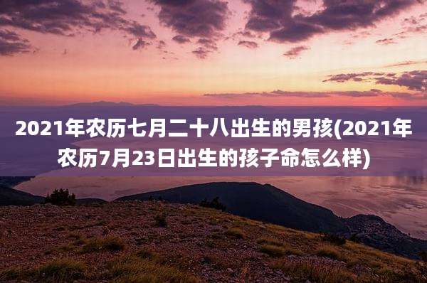 2021年农历七月二十八出生的男孩(2021年农历7月23日出生的孩子命怎么样)