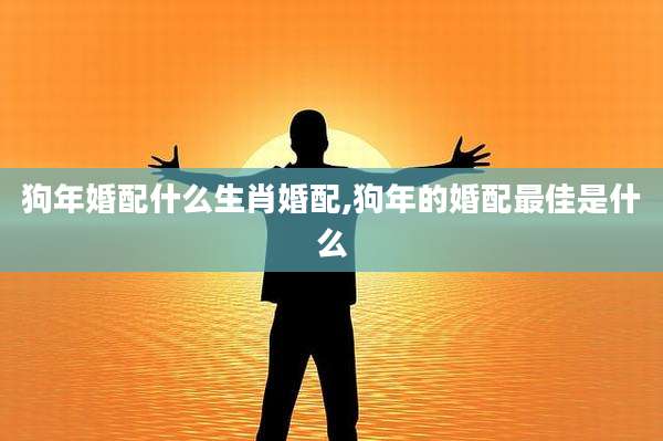 狗年婚配什么生肖婚配,狗年的婚配最佳是什么