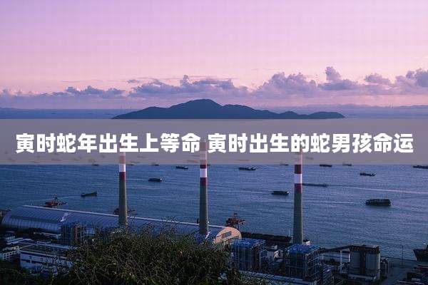 寅时蛇年出生上等命 寅时出生的蛇男孩命运