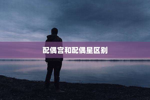 配偶宫和配偶星区别
