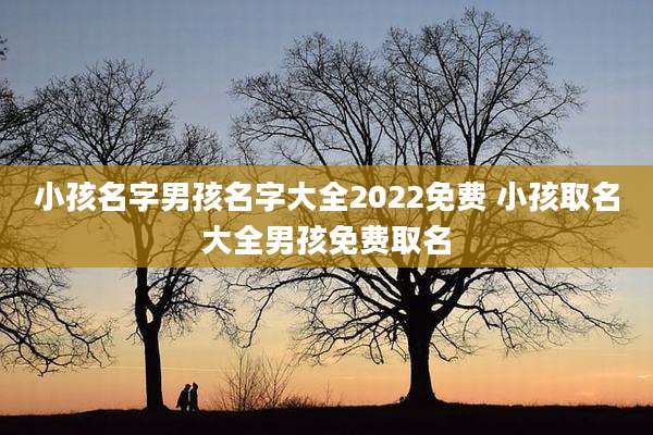 小孩名字男孩名字大全2022免费 小孩取名大全男孩免费取名