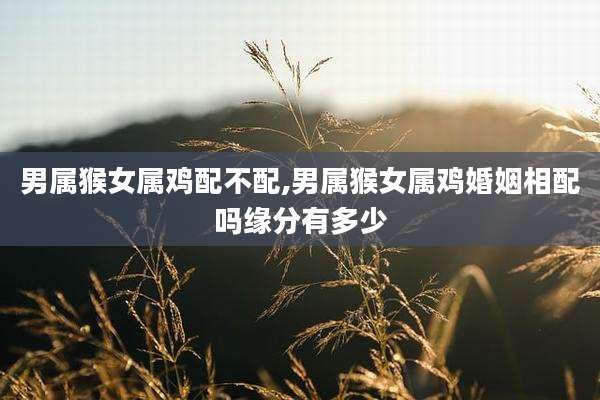 男属猴女属鸡配不配,男属猴女属鸡婚姻相配吗缘分有多少