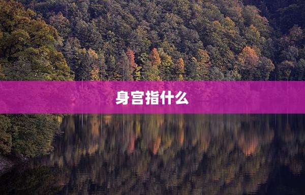 身宫指什么