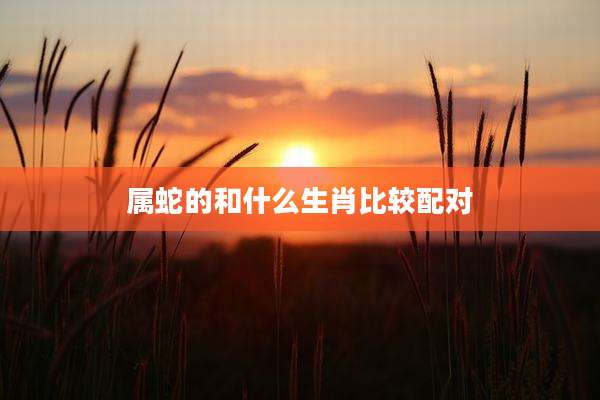 属蛇的和什么生肖比较配对