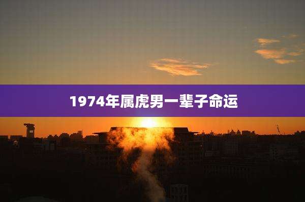 1974年属虎男一辈子命运