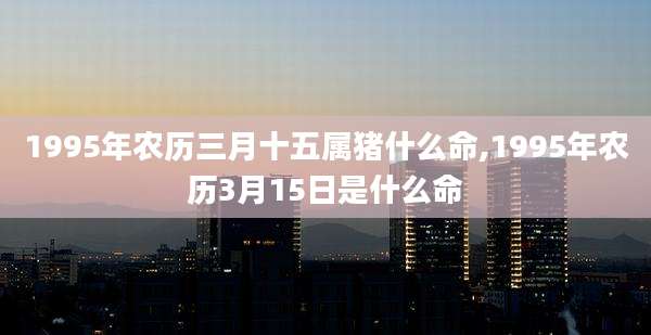 1995年农历三月十五属猪什么命,1995年农历3月15日是什么命