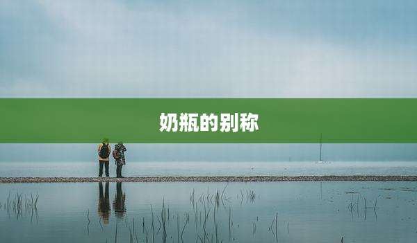奶瓶的别称