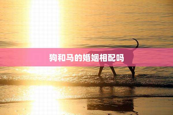 狗和马的婚姻相配吗