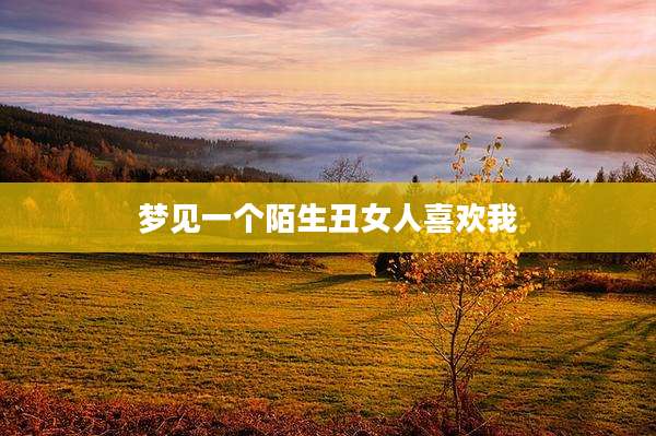 梦见一个陌生丑女人喜欢我