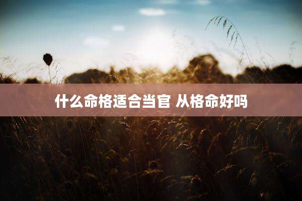 什么命格适合当官 从格命好吗