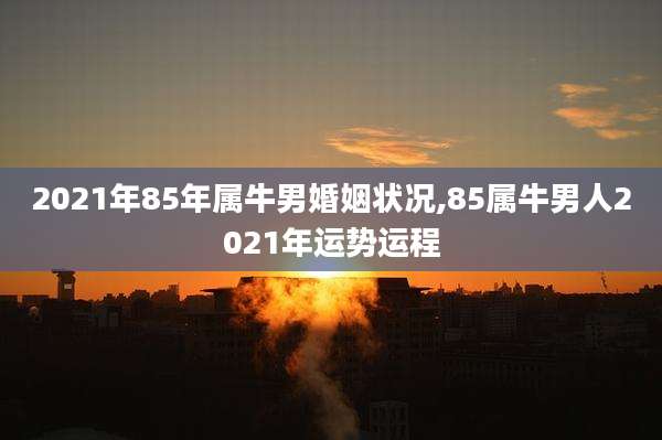 2021年85年属牛男婚姻状况,85属牛男人2021年运势运程