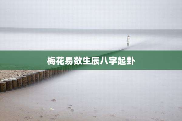 梅花易数生辰八字起卦