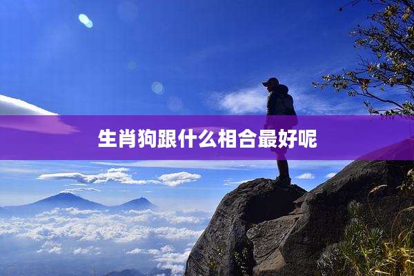 生肖狗跟什么相合最好呢