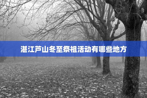 湛江芦山冬至祭祖活动有哪些地方