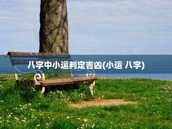 八字中小运判定吉凶(小运 八字)