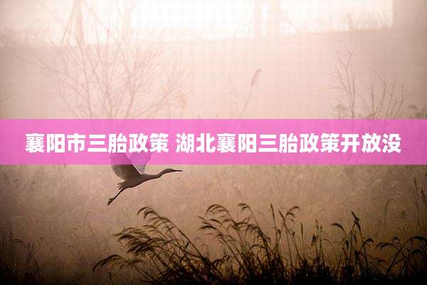 襄阳市三胎政策 湖北襄阳三胎政策开放没