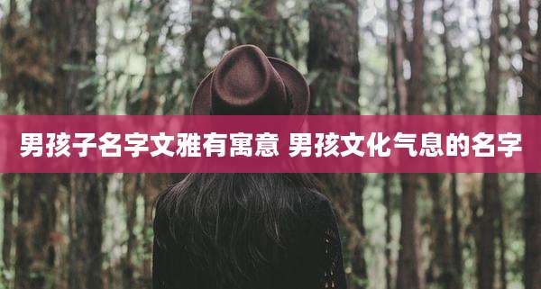 男孩子名字文雅有寓意 男孩文化气息的名字
