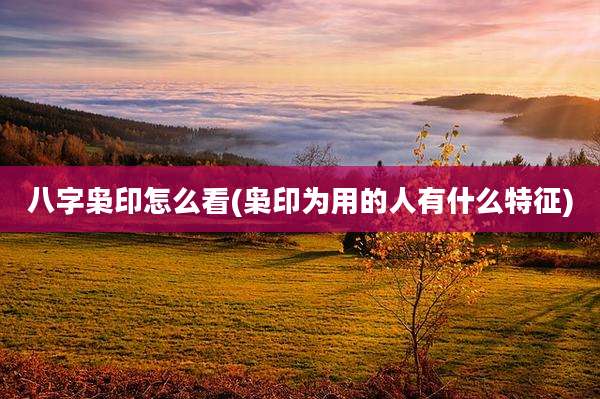 八字枭印怎么看(枭印为用的人有什么特征)