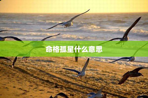 命格孤星什么意思