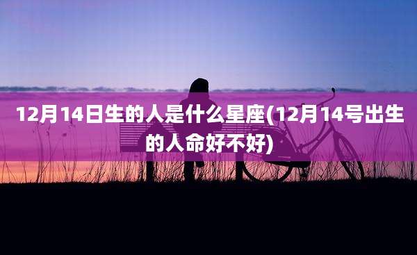 12月14日生的人是什么星座(12月14号出生的人命好不好)